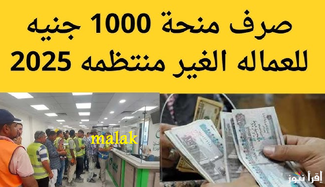 “6 دفعات في السنة” منحة العمالة الغير منتظمة 1000 جنيه 2025 و الاستعلام بالرقم القومي عبر وزارة العمل