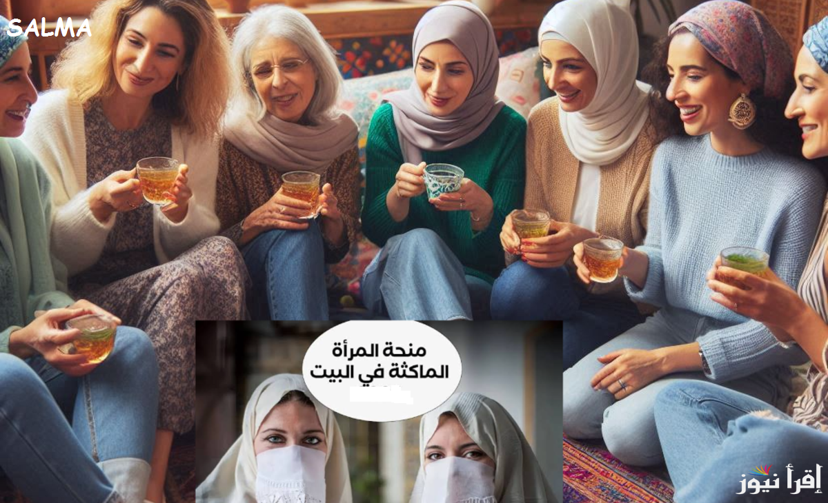 عبر موقع الوكالة الوطنية للتشغيل خطوات التسجيل في منحة المرأة الماكثة في البيت 2025 والشروط المطلوبة