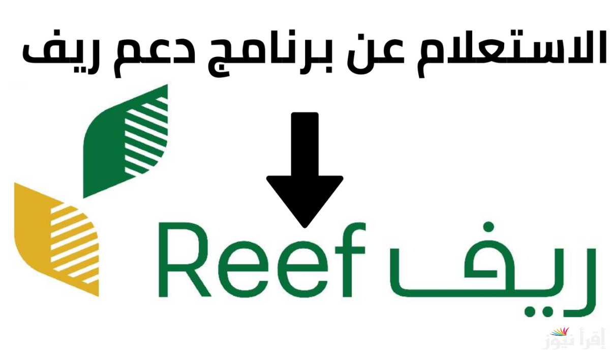 موعد صرف دعم ريف شهر يناير 2025 وخطوات الاستعلام عنه عبر الموقع الالكتروني للدعم reef.gov.sa