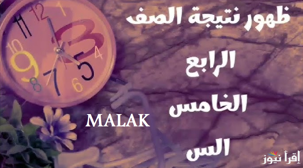 بوابة نتائج التعليم الأساسي لاستخراج نتيجة رابعة وخامسة وسادسة ابتدائي 2025 الترم الأول برقم الجلوس جميع المحافظات