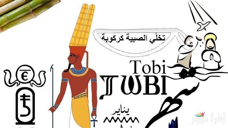 ورقة نتيجة اليوم الثلاثاء 21 يناير 2025 ‎النهارده كام طوبه 2025 في التقويم القبطي