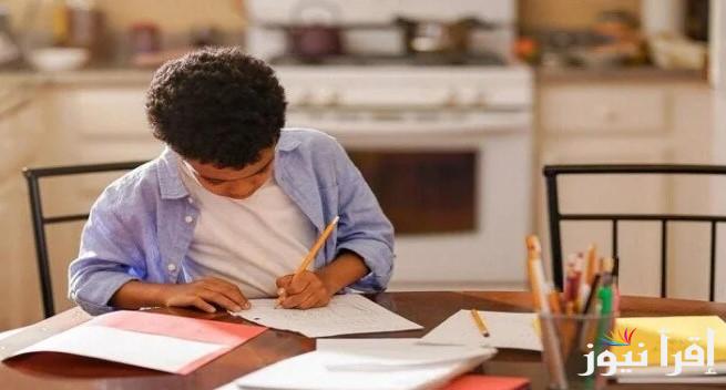 رابط التقييمات الأسبوعية الفصل الدراسي الثاني 2025 لجميع المراحل الدراسية عبر الموقع الرسمي eduserv.cairo.gov.eg