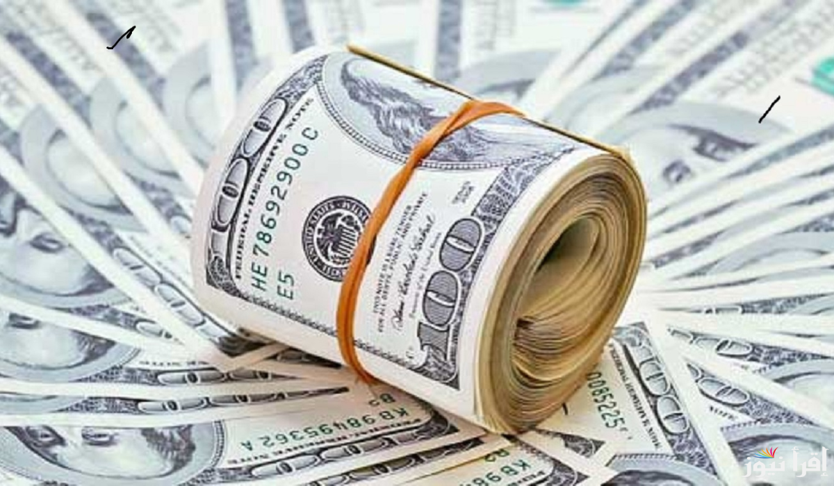 “500 Dollar سجل كام اليوم” اعلي سعر للدولار في السوق السوداء اليوم الخميس 20 فبراير 2025 في أخر التعاملات