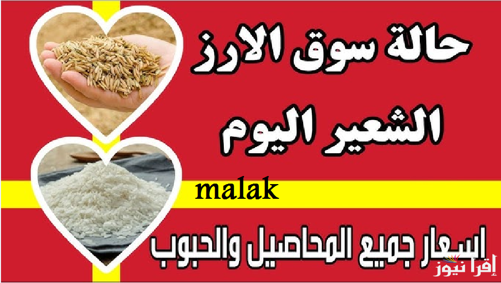 “تراجع الأردب” سعر الأرز الشعير اليوم الأحد 9 فبراير 2025 في الأسواق للحبة العريضة والرفيعة