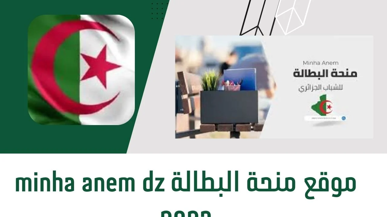 رابط التسجيل في منحة البطالة 2025 الجزائر… وأهم الشروط اللازمة للتسجيل