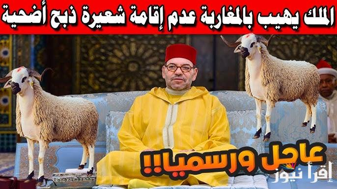 تعرف علي.. سبب قرار عدم ذبح أضحية العيد في المغرب 2025 حسب ما تصريحات محمد السادس وموقف المغاربة من هذا القرار