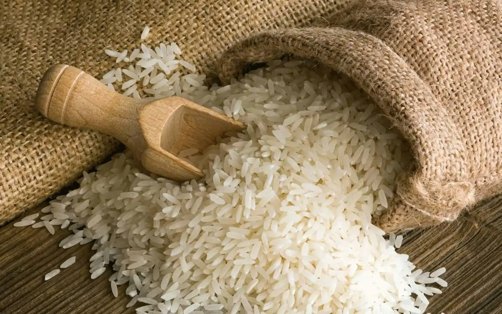الطن بكام النهارد؟؟ سعر الأرز الشعير اليوم الاثنين 17-2-2025 في الاسواق المحلية رفيع وعريض الحبة
