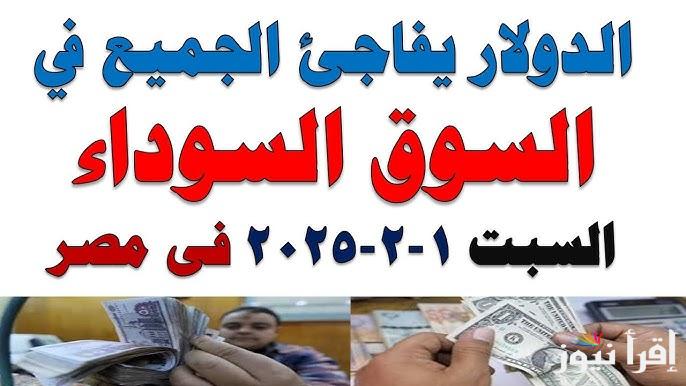 “انخفــــاض في الاخضر” سعر الدولار اليوم السبت 2 فبراير 2025 في السوق السوداء وفي البنوك التجارية والحكومية
