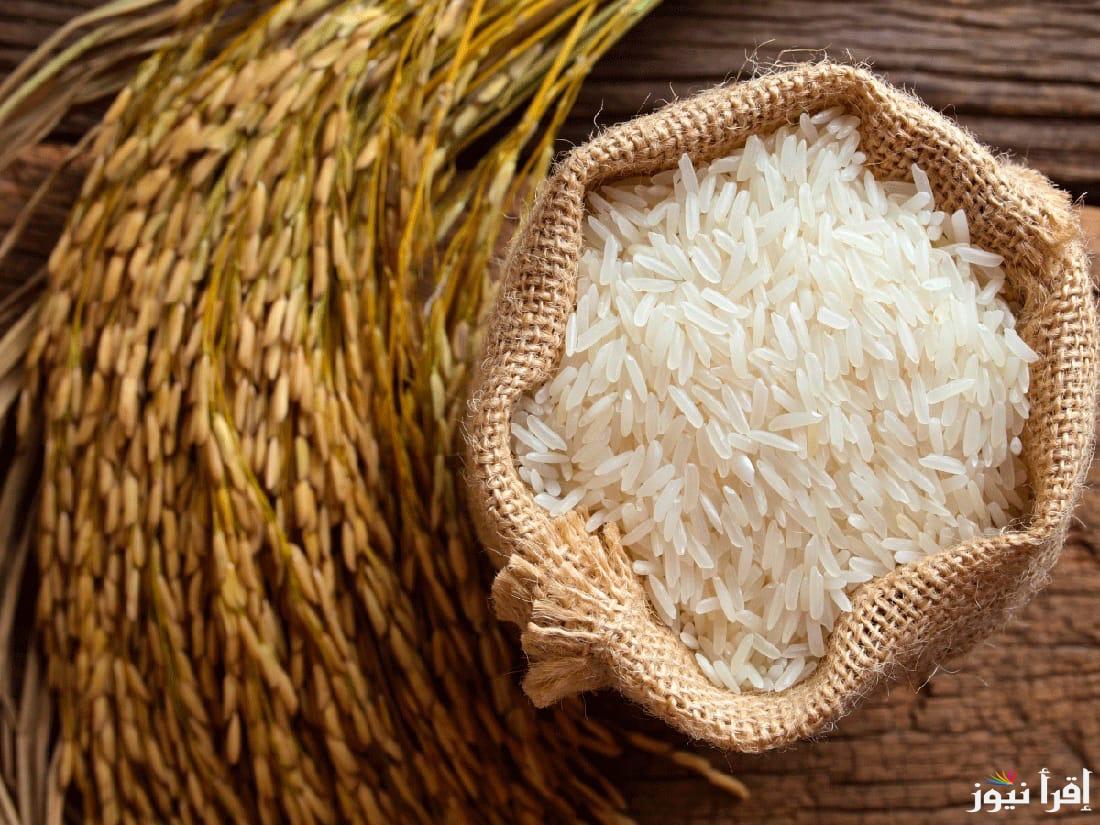 “شوف وصل كام انهاردة” سعر طن الأرز الشعير اليوم الثلاثاء 18 فبراير 2025 داخل الأسواق المحلية