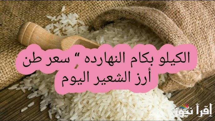 خزنتي ولا لسه؟ سعر طن الأرز الشعير اليوم الاثنين 24 فبراير 2025 داخل السوق المصري