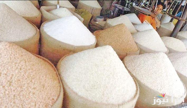 “صدمة جديدة” سعر طن الأرز الشعير اليوم الأحد 9 فبراير 2025 والسلع الغذائية للتاجر والمستهلك