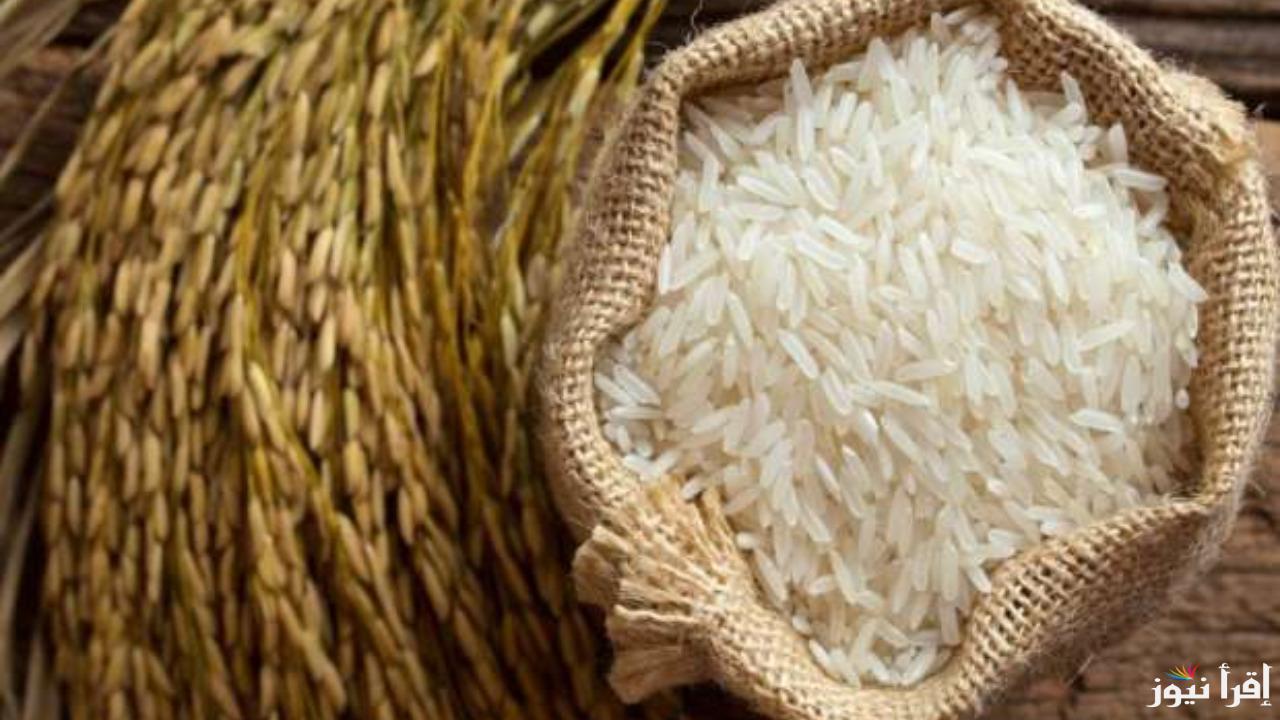 “مفاجأة من العيار الثقيل قبل رمضان”.. سعر طن الأرز الشعير اليوم الجمعة 7 فبراير 2025