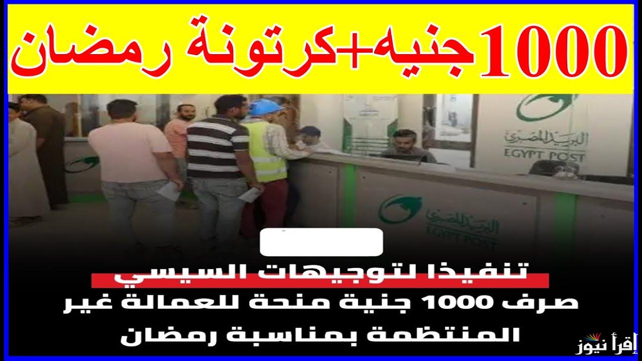 فرحة عامة صرف 1000 جنيه وكرتونة رمضان لهذه الفئة من العماله الغير منتظمه تعرف علي الفئات المستفيدة