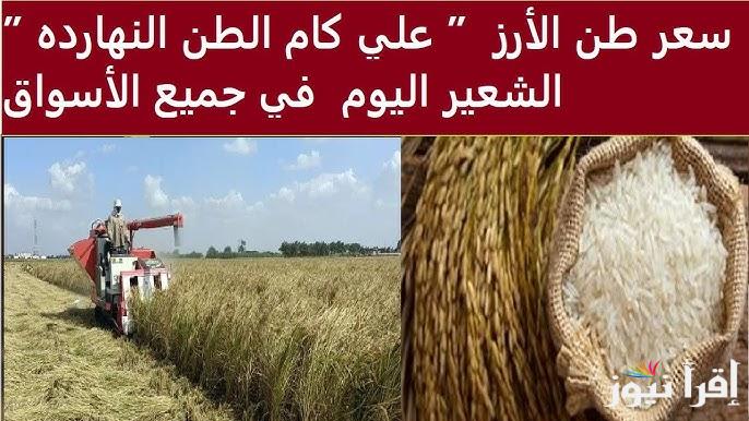 استعدي لرمضان.. سعر طن الأرز الشعير اليوم السبت 1 فبراير 2025 في كافة الأسواق المصرية
