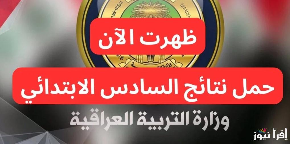 نتائج السادس الابتدائي التمهيدي 2025 محافظة البصرة والنجف الاشرف والمثني الآن ظهرت pdf عبر موقع نتائجنا nataegna