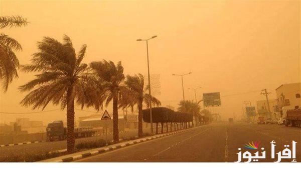 أمشير يقول للزرع سير سير بلا تعسير.. ورقة نتيجة اليوم النهارده كام امشير 2025 ومواعيد الشهور القبطية