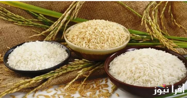 “وصل كام الطن النهاردة” سعر طن الأرز الشعير اليوم السبت 1 مارس 2025 والأرز الأبيض داخل الأسواق