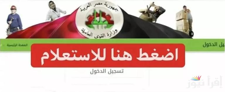 بأبسط طريقة.. رابط الاستعلام عن منحة العمالة غير المنتظمة في مصر عبر موقع وزارة القوى العاملة manpower.gov.eg