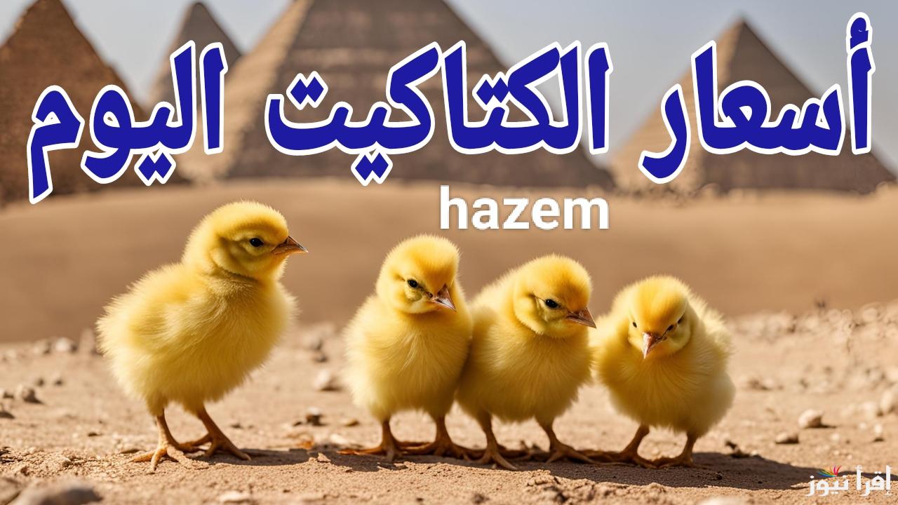 الأسعار بين إيديك.. أسعار الكتاكيت اليوم الاحد 9 مارس 2025 في المعامل والمزارع المصرية