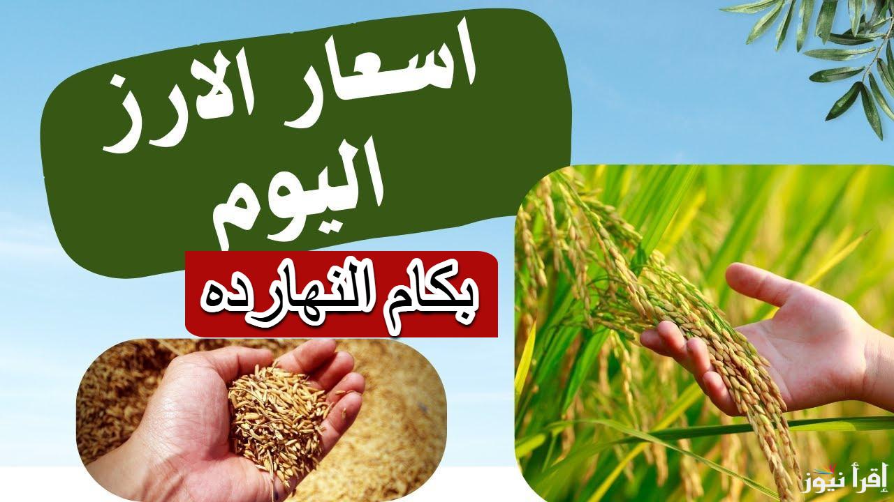 السعر قلب الموازين.. سعر طن الأرز الشعير الان الإثنين 10 مارس 2025 في الأسواق المصرية