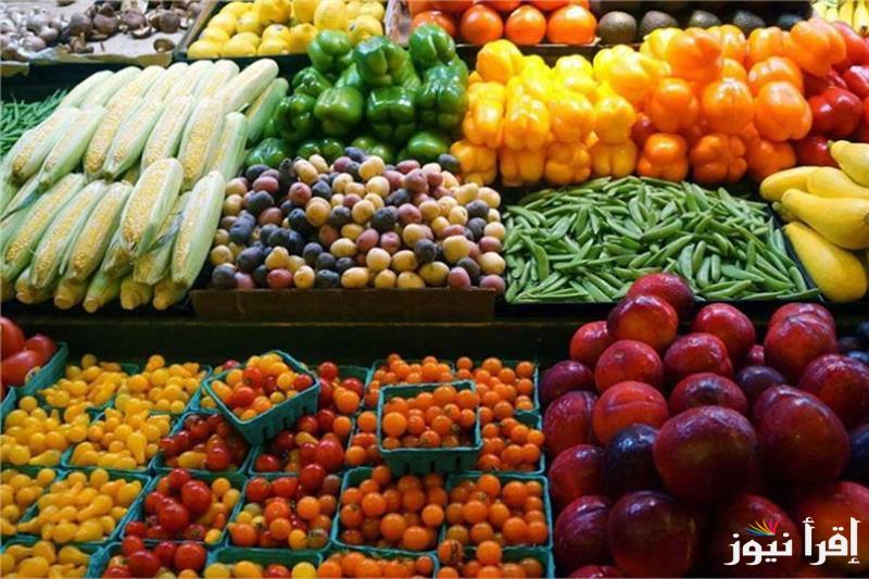 الثوم بكام النهاردة.. أسعار الخضار اليوم الاثنين 17 مارس 2025 والفاكهه داخل الاسواق المصرية