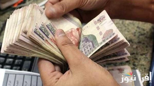 زيادة 15%.. رابط الاستعلام عن زيادة المعاشات والمرتبات 2025 بالرقم القومي عبر nosi.gov.eg