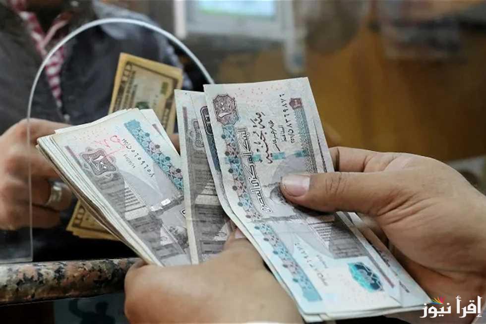 “هتقبض امتا” رابط الاستعلام عن منحة العمالة الغير منتظمة منحة رمضان 2025 والشروط اللازمة للحصول على المنحة