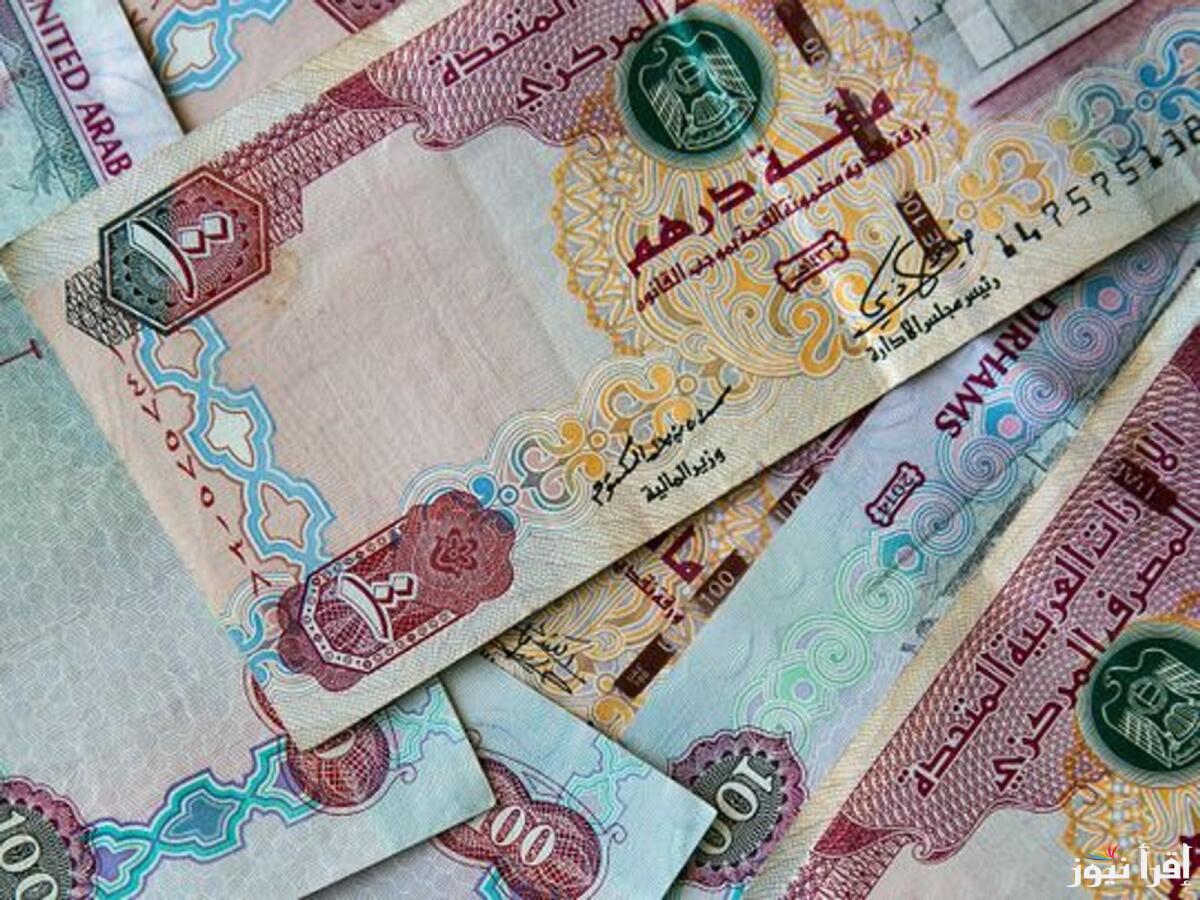 استقرار سعر الدرهم الإماراتي في السوق السوداء اليوم الثلاثاء 25 مارس 2025 مقابل الجنيه المصري