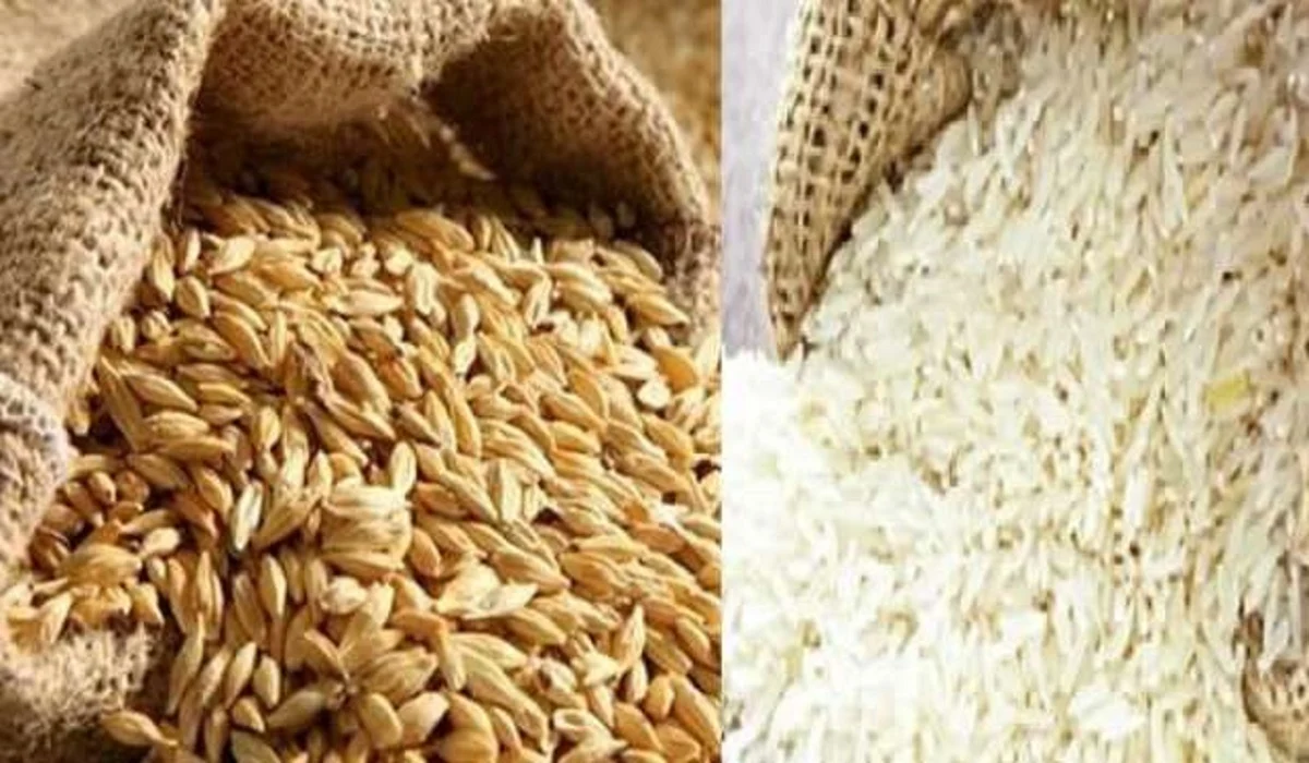 “أحدث الأسعار في الأسواق المصرية” ما هو سعر طن الأرز الشعير اليوم الجمعة 7 مارس 2025