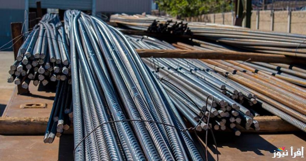 ” عزوز يهز الاسواق ” سعر طن الحديد اليوم حديد عز الأحد 23 مارس 2025 في المصانع والشركات