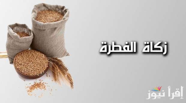 تعرف علي … مقدار زكاة الفطر الأردن 1446 – 2025 وكيفية إخراجها