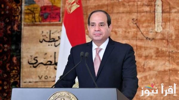 مصر تتصدى لمحاولات تصفية القضية الفلسطينية