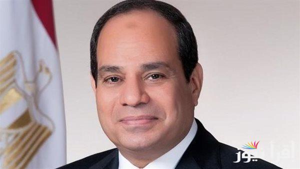 الرئيس السيسي يؤكد دعم مصر للجابون في التنمية