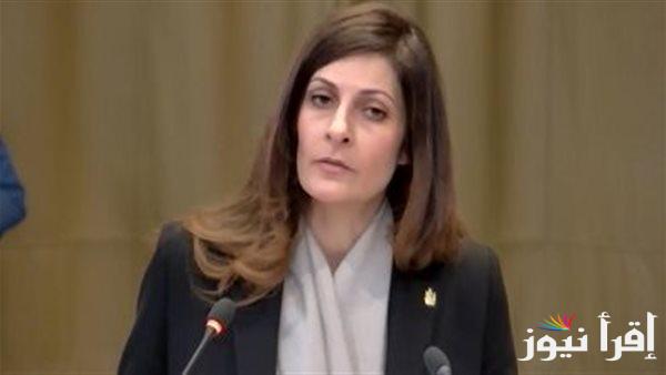 مصر تنسق مع فلسطين والدول العربية والأمم المتحدة في محكمة العدل الدولية