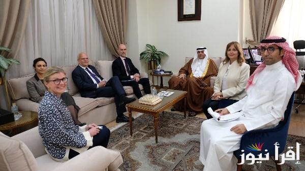 الجامعة العربية والسويد تبحثان تعزيز التعاون