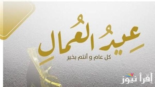 عمال مصر هم أساس التنمية وبناة الجمهورية الجديدة