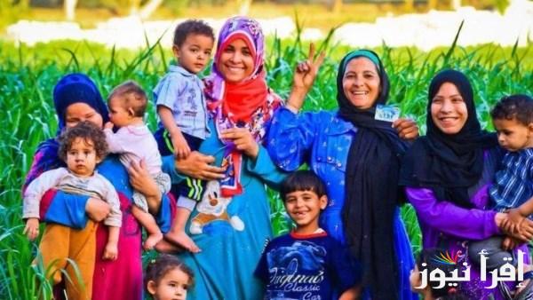كيفية الاستعلام عن معاش تكافل وكرامة 2025 باستخدام الرقم القومي