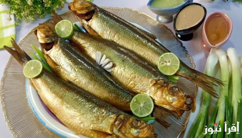 الكيلو وصل كام ؟.. اسعار الرنجة والفسيخ فى مصر داخل الاسواق التجارية المختلفة