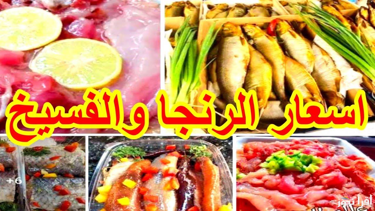 الحق قبل ماتخلص .. اسعار الرنجه والفسيخ اليوم السبت 19 أبريل 2025 في جميع الاسواق المصرية