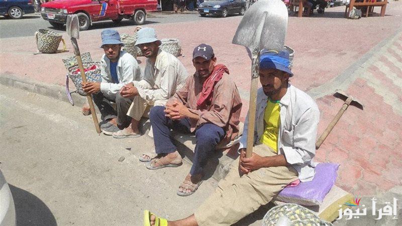 رابط الاستعلام عن منحة العمالة غير المنتظمة 2025 من خلال الرابط manpower.gov.eg واهم الشروط