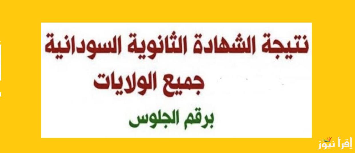 “هتجيبها من علي النت” رابط نتيجة الشهادة السودانية 2025 وتصريحات الوزارة حول موعد اعلان النتائج