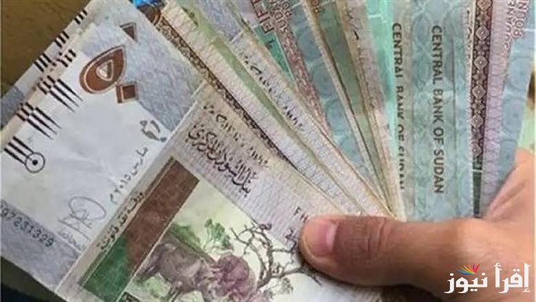 كم تساوي 5000 جنيه سوداني بالمصري؟.. سعر الجنيه السوداني مقابل الجنيه المصري اليوم الاثنين 28 ابريل 2025 في مصر