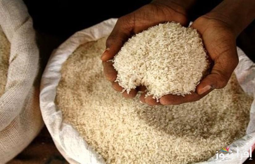 سعر طن الأرز الشعير اليوم الإثنين 7 أبريل 2025 في جميع الأسواق المصرية والمحلية