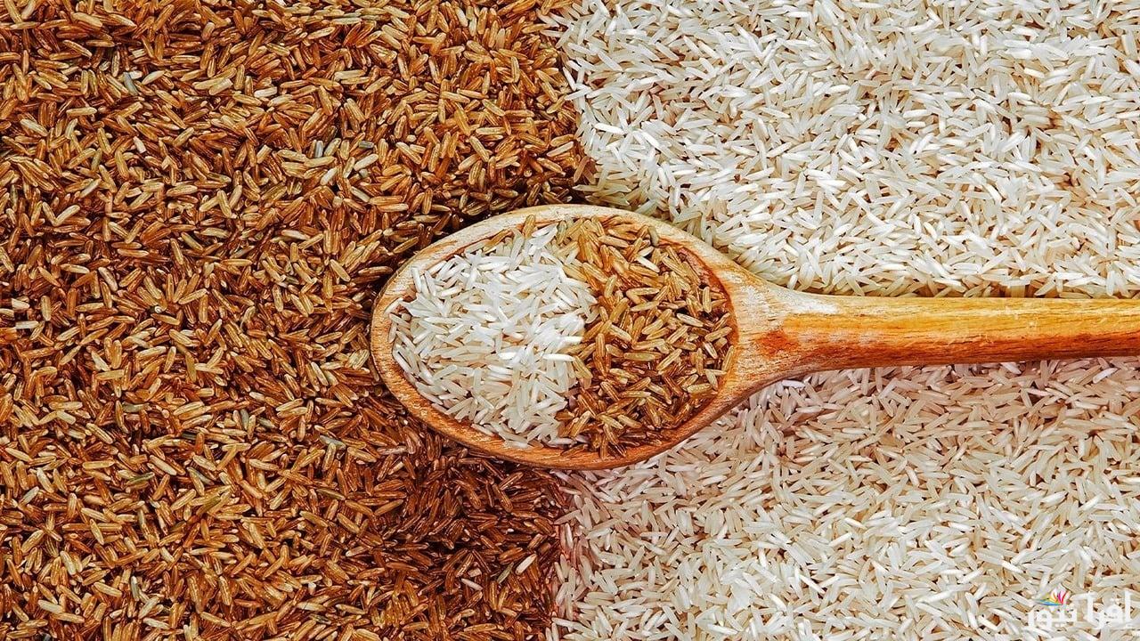 الحبة الرفيعة بكام ؟.. سعر طن الأرز الشعير اليوم السبت 5 ابريل 2025 في الاسواق المصرية