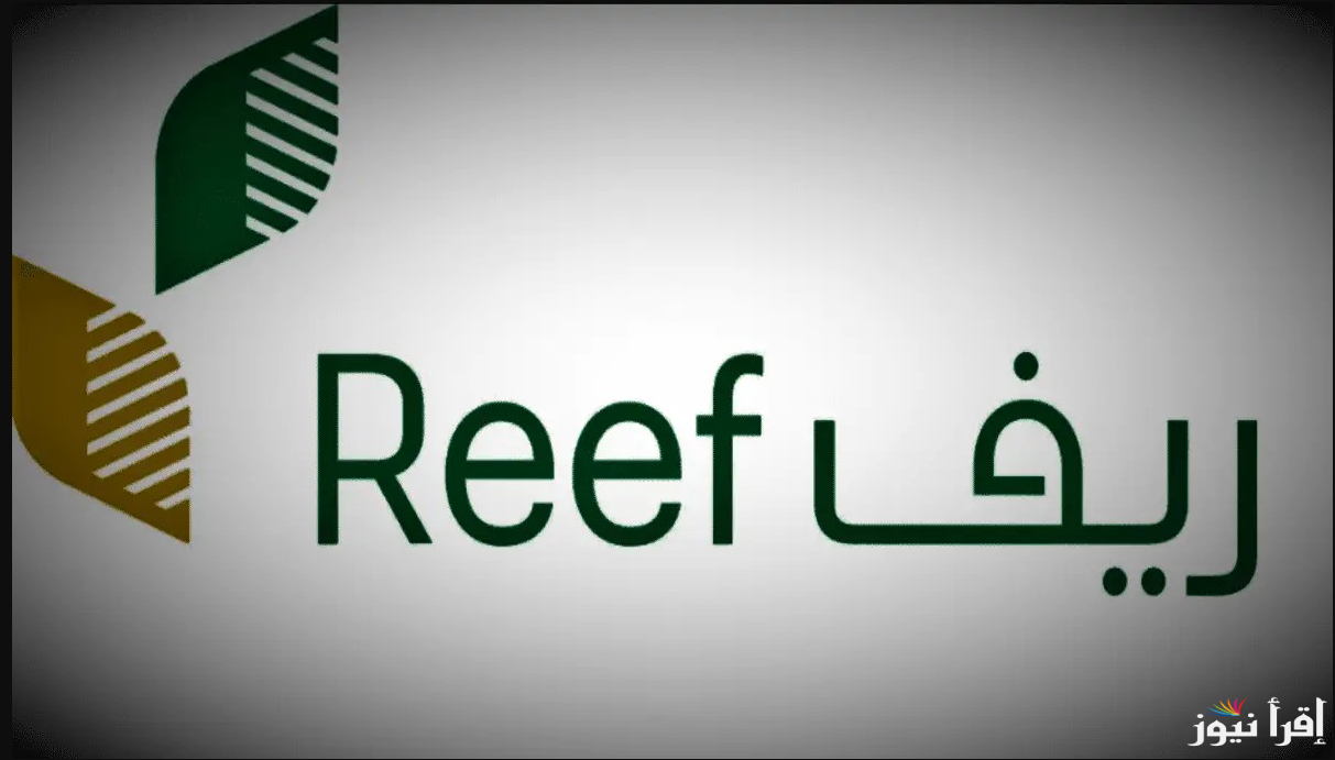 ريف REEF … شروط دعم ريف للأسر المنتجة 1446 ومعرفة الأوراق المطلوبة للتسجيل في البرنامج
