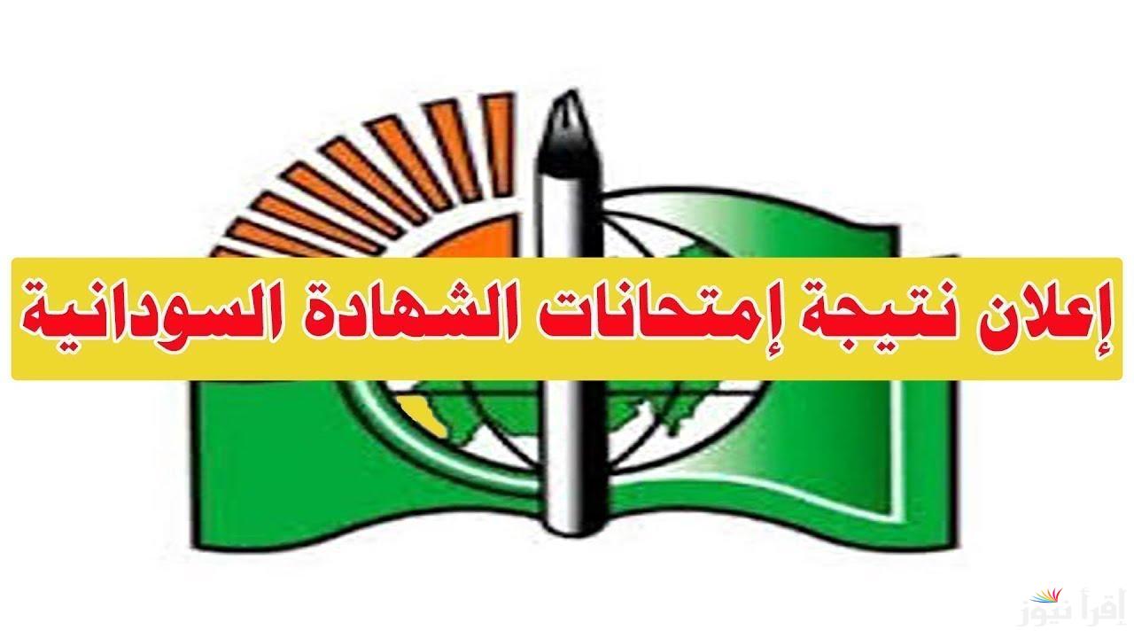 استعلم عبر result.sudani.sd: نتيجة الشهادة السودانية 2025 بالاسم عبر موقع وزارة التربية السودانية الرسمي