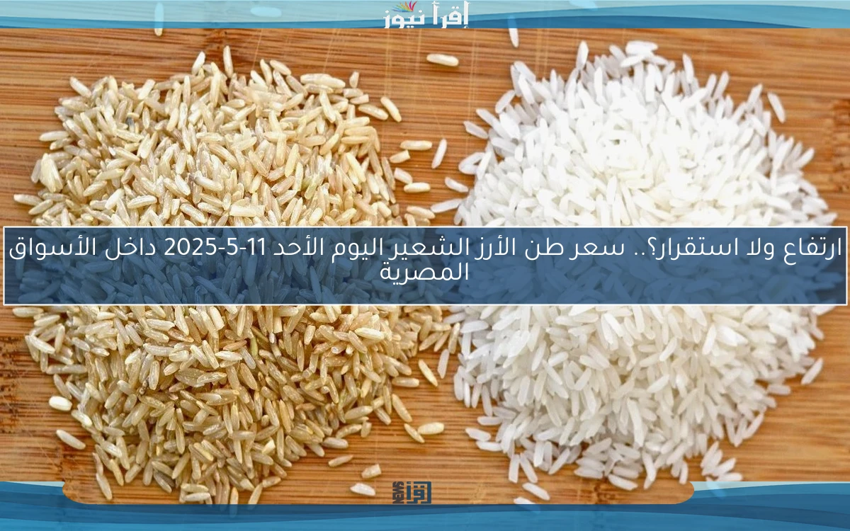 ارتفاع ولا استقرار؟.. سعر طن الأرز الشعير اليوم الأحد 11-5-2025 داخل الأسواق المصرية