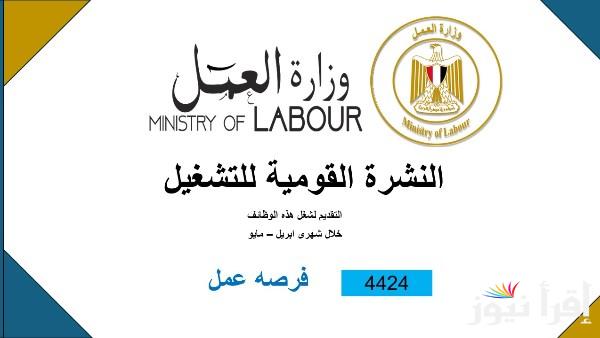4424 فرصة عمل في 12 محافظة براتب يبدأ من 7000 جنيه