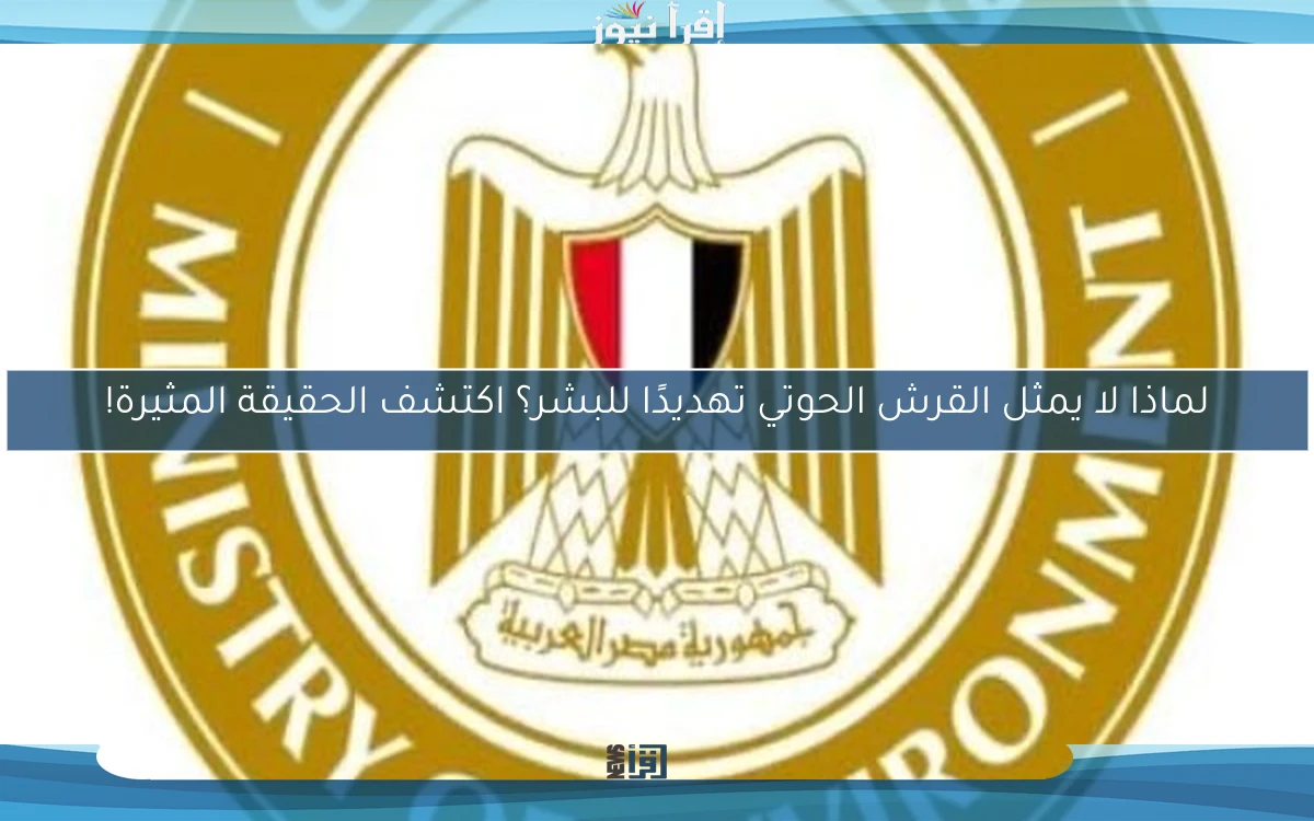 لماذا لا يمثل القرش الحوتي تهديدًا للبشر؟ اكتشف الحقيقة المثيرة!