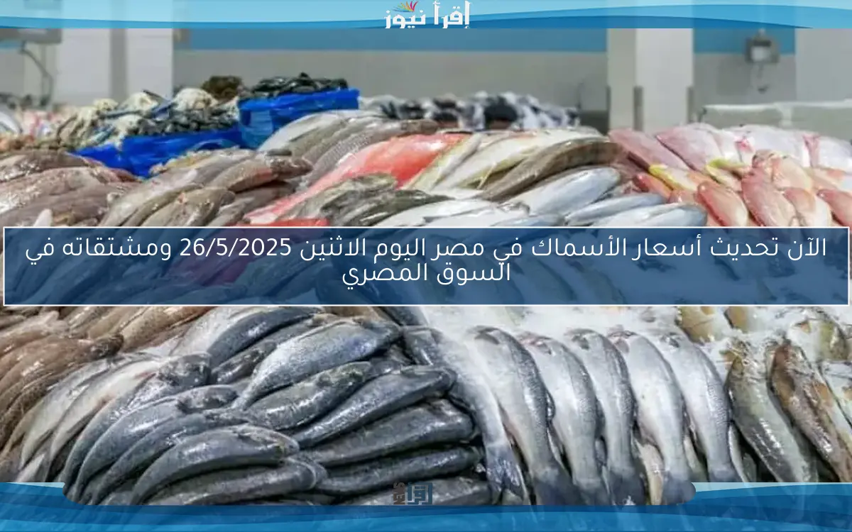 الآن تحديث أسعار الأسماك في مصر اليوم الاثنين 26/5/2025 ومشتقاته في السوق المصري